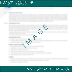 グローバルリサーチ調査レポートのイメージ